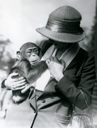 Una signora tiene un giovane scimpanzé allo zoo di Londra, giugno 1922 da Frederick William Bond